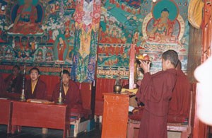 Tibet